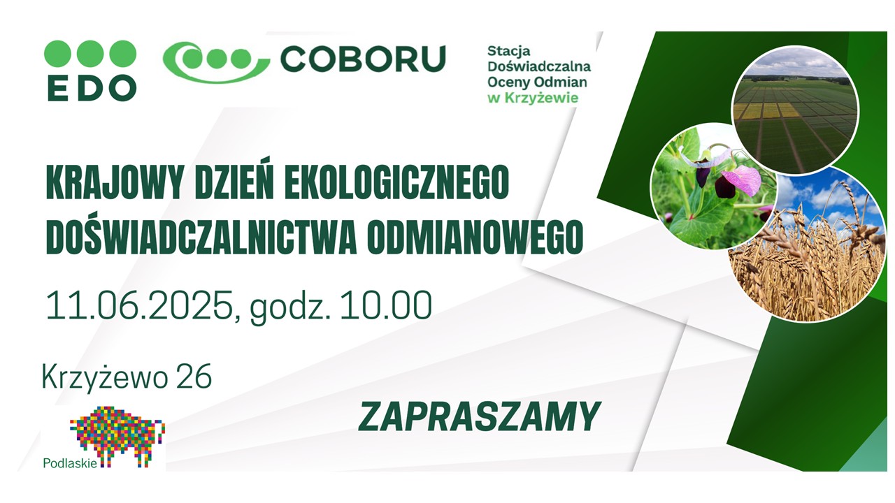 11 czerwca 2025 krajowy dzień ekologicznego doświadczalnictwa w Krzyżewie o godz. 10:00.