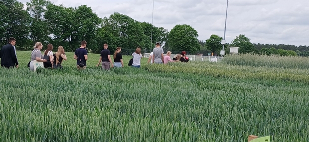 Na zdjęciu widać liczne osoby na tle poletek doświadczalnych z gatunkami zbóż jarych i ozimych.